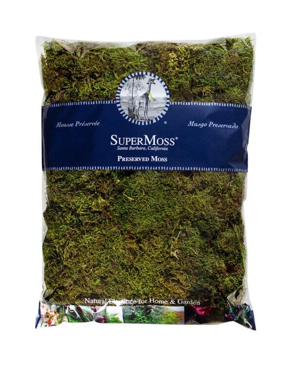 Petite Sheet Moss Preserved