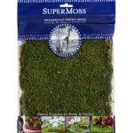 Sheet Moss Fragments – Moss Acres