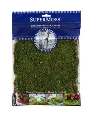 SuperMoss Moss Ball - 4 inch, Green
