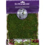 Sheet_Moss_Preserved_Natural_Green_2oz_Bag_21550
