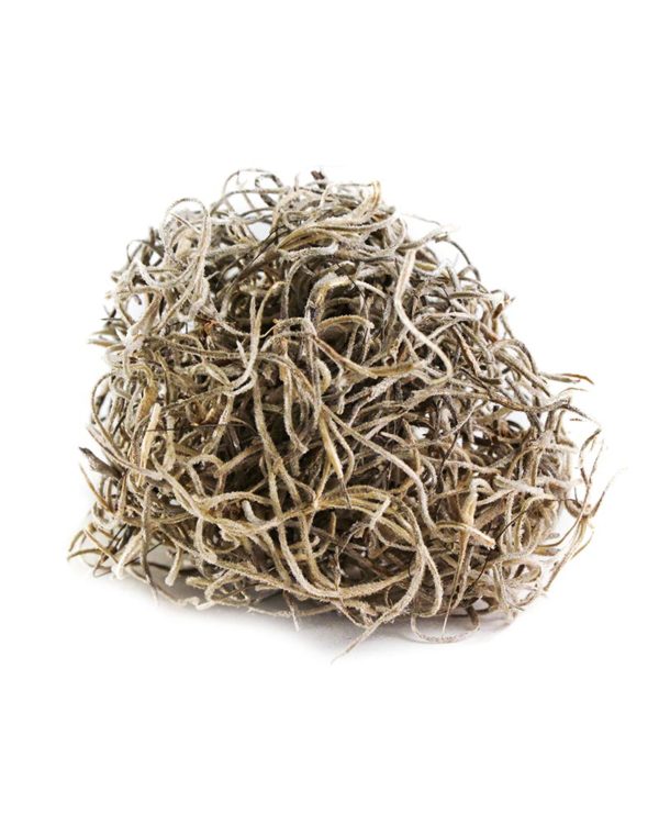 Dried Spanish Moss Dried Moss Natural Moss Decorative Moss 