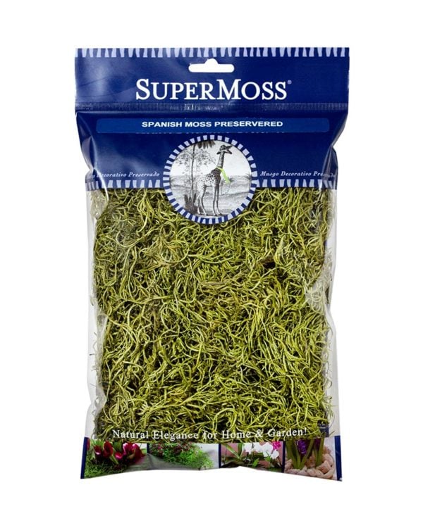 Spanish Moss Preserved SuperMoss 27011 3lbs Basil 