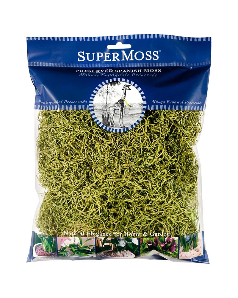 ⭐ BEST POTTING MIXES - Spanish Moss in Spring Green Natural Preserved -  Great Ground Cover - Filler for Potted Plants - by ://N ☆ LOVA - 3 Quart  Bag 