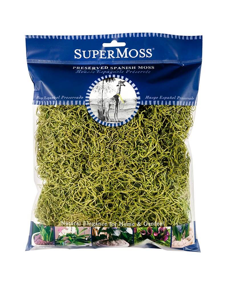 SuperMoss Spanish Moss Preserved