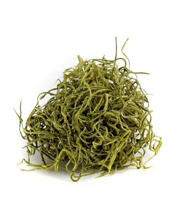 SuperMoss Spanish Moss Preserved