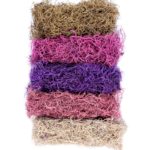 Spanish-Moss_Preserved_INDEX