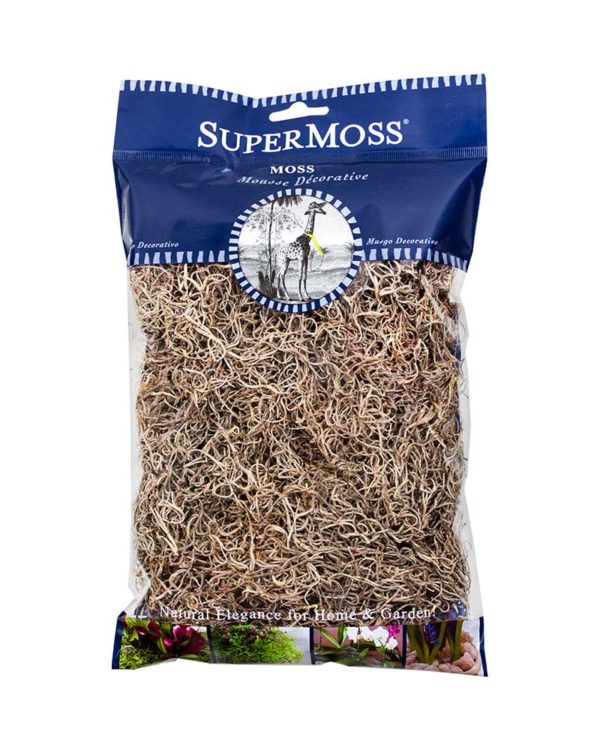 Spanish Moss Preserved Natural Grey