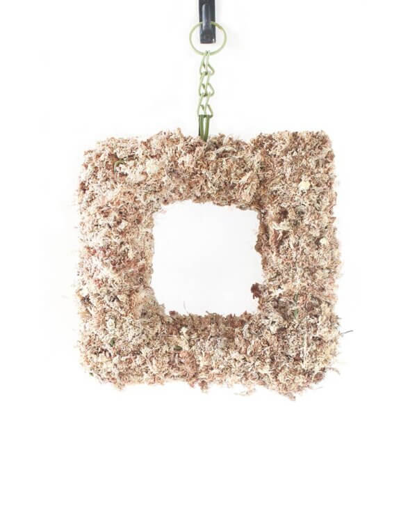 Living Wreath, Square