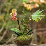 Terrarium Kit with Bark, Stones, Lichen, and Moss