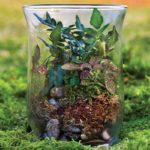 Beach Terrarium Kit - SuperMoss