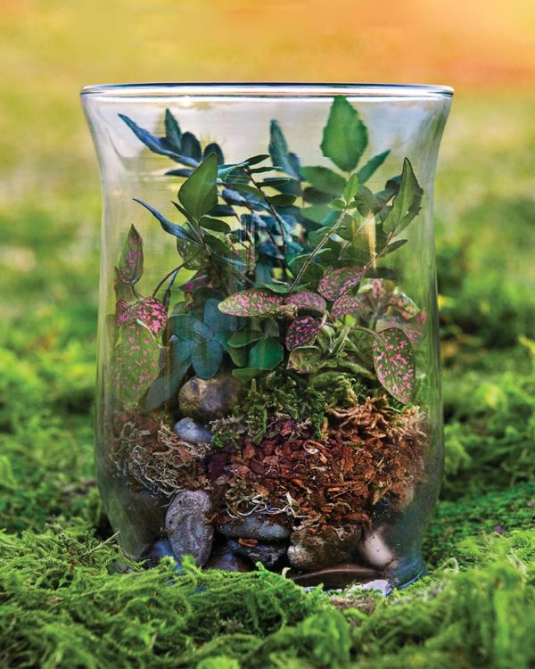 Terrarium Ornament Rainforest Diorama Supplies Artificial Preserved Moss  Enchanted Forest Party Decorations Floral Assorted