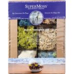 Terrarium_Kit_Beach_4oz_Display_Box_90422
