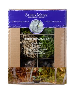 Fairy Garden Moss Basket Kit – Lehua's Forest, Flower Arrangements