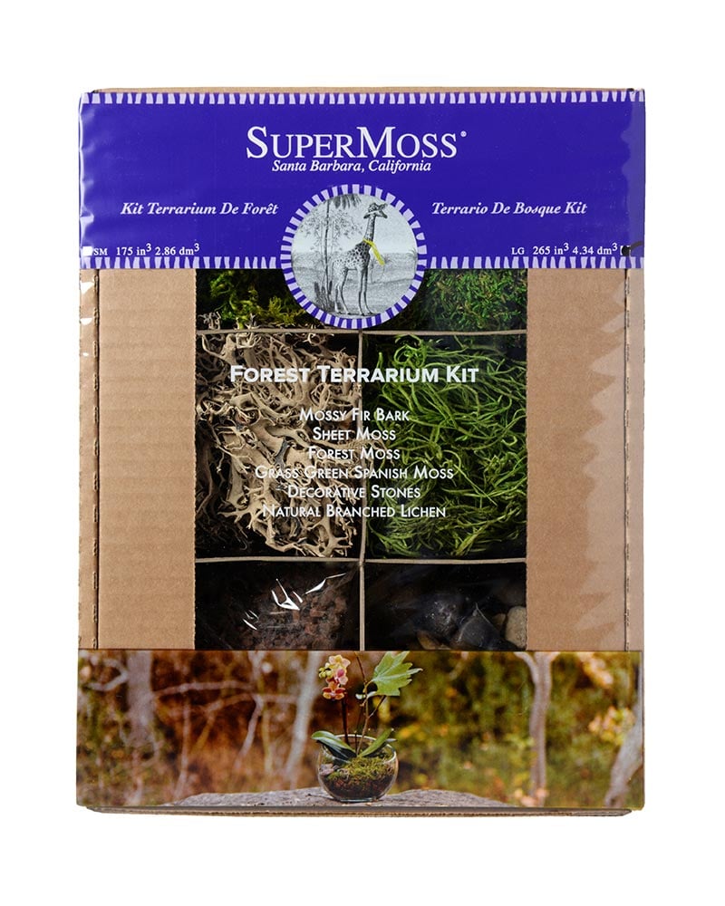 NEW Wonderful Super Moss Terrarium Jar Kit DYI 