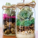 Terrarium_Kit_LIFESTYLE01