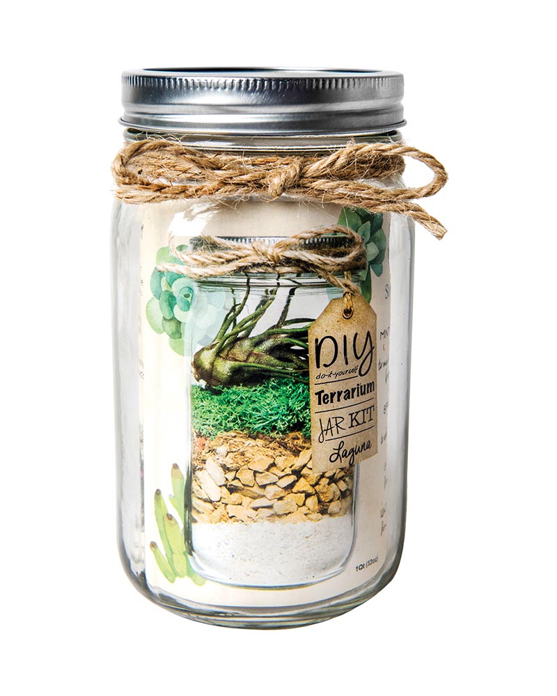 SuperMoss (90421) Terrarium Kit, 8 oz, Forest