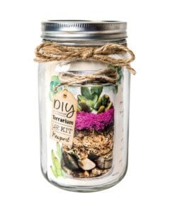Terrarium Jar DIY Kit