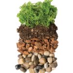 Terrarium_Kit_Portland_32oz_90411_02