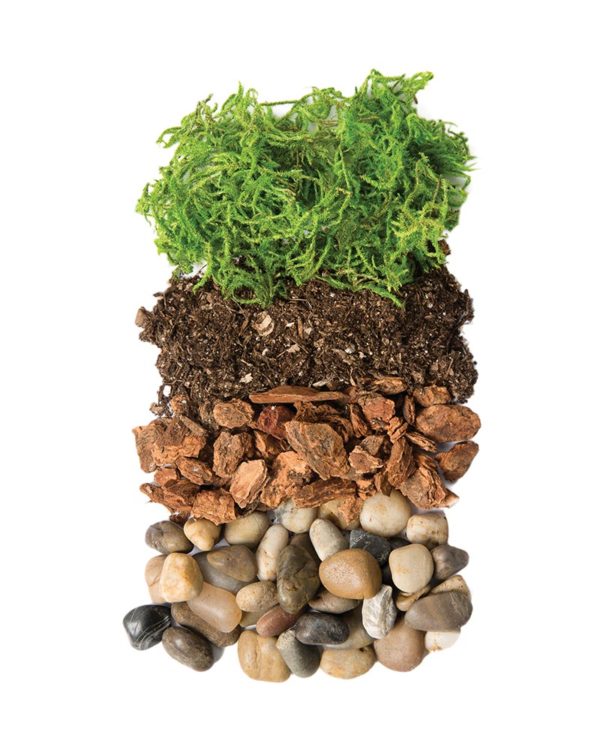 SuperMoss DIY Portland Terrarium Jar Kit