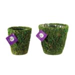 Tulare_Deco_Basket_Fresh_Green_Set_of_2_55130