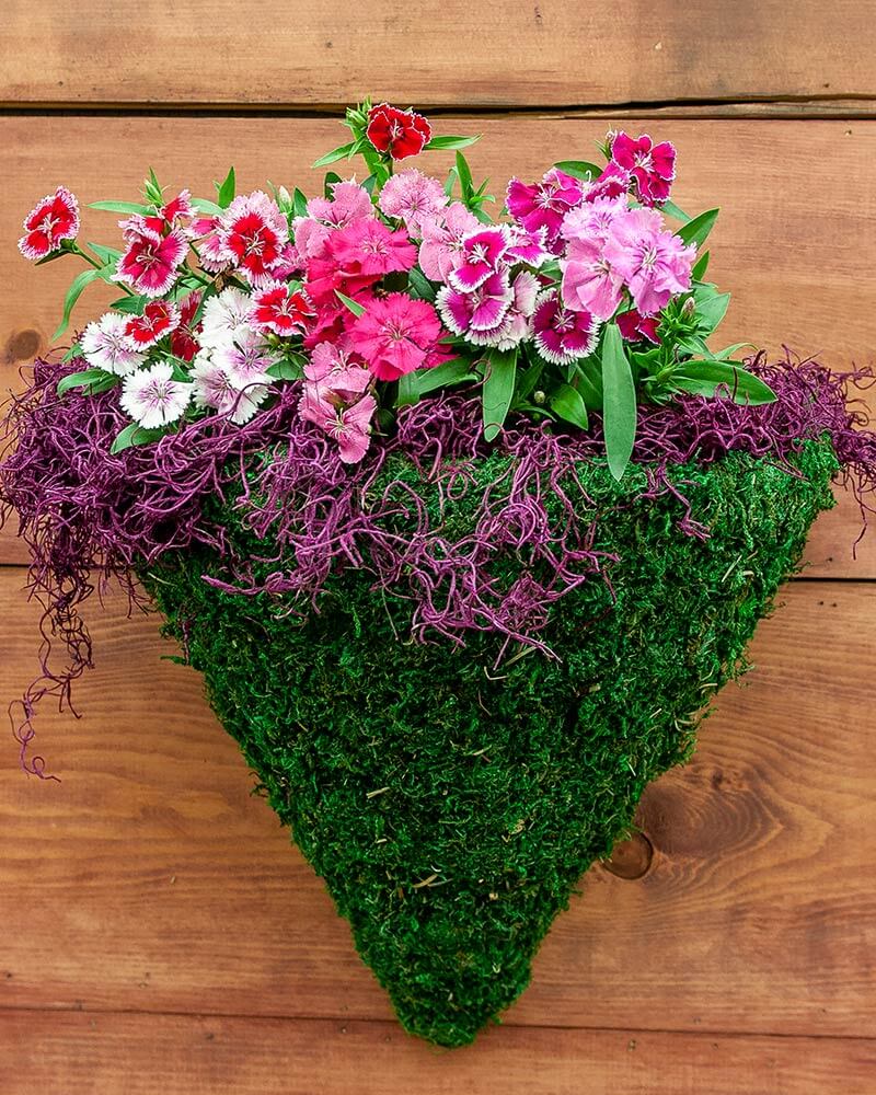 MossWeave Wall Sconce, 14" #1