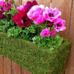 Window-Box-Planter_LIFESTYLE02