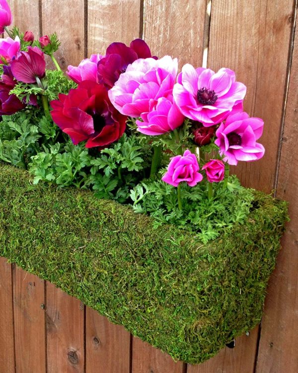 MossWeave Window Box Planter Spring Green