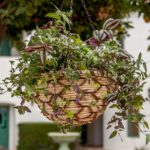 Wood-Woven-Basket_LIFESTYLE03