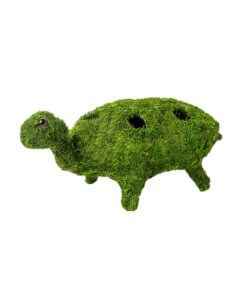 Turtle Deco Moss Planter