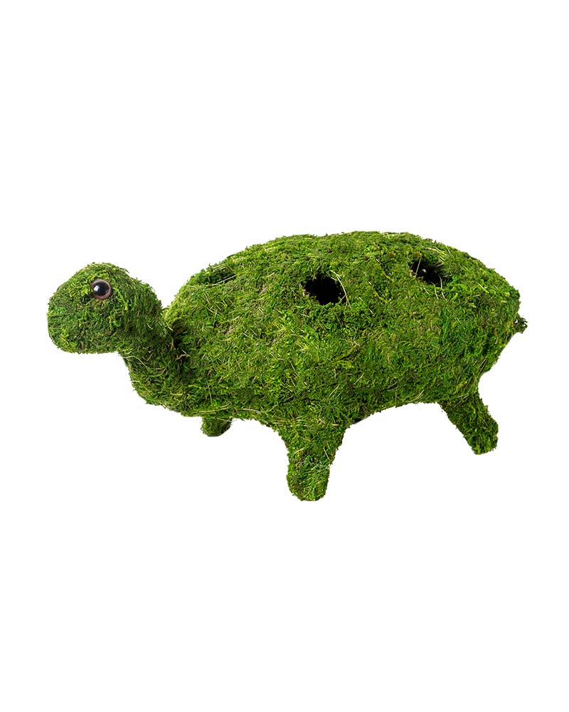 Animal Moss and Twine Planters Wasabi Twine Squirrel 