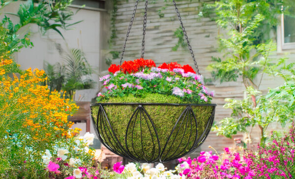 Leeds Round Wire Hanging Basket