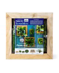 Mounted Fern Kit
