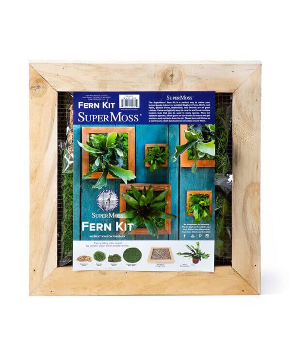 Mounted Fern Kit