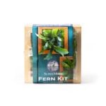 Mounted Fern Kit Fresh Green