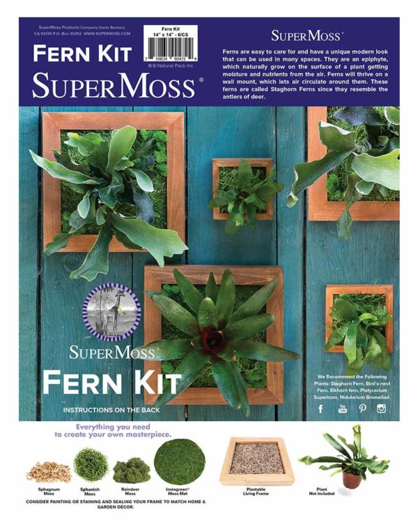 Mounted Fern Kit Instructions