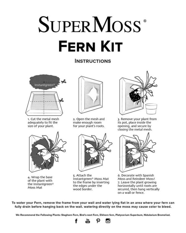 Mounted Fern Kit Instructions