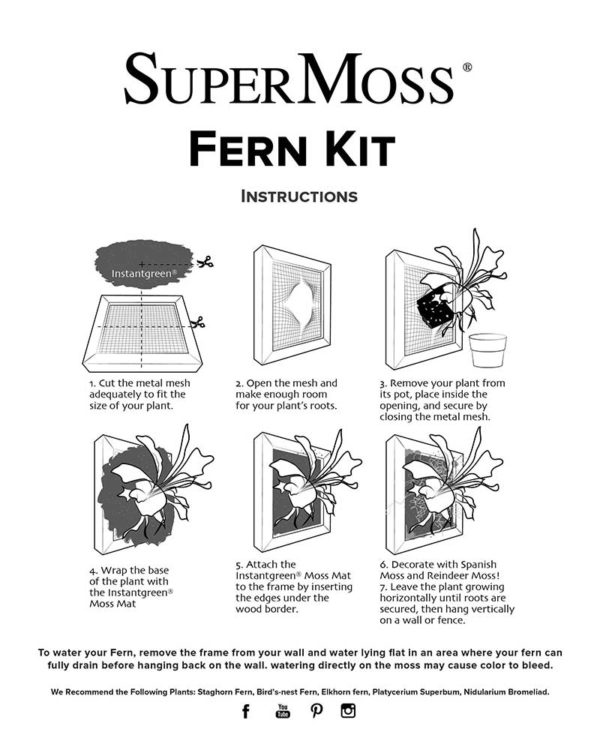 https://www.supermoss.com/wp-content/uploads/2020/06/Fern-Kit_Instructions02-600x750.jpg