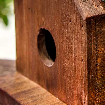 SuperMoss | Jade Plantable Birdhouse