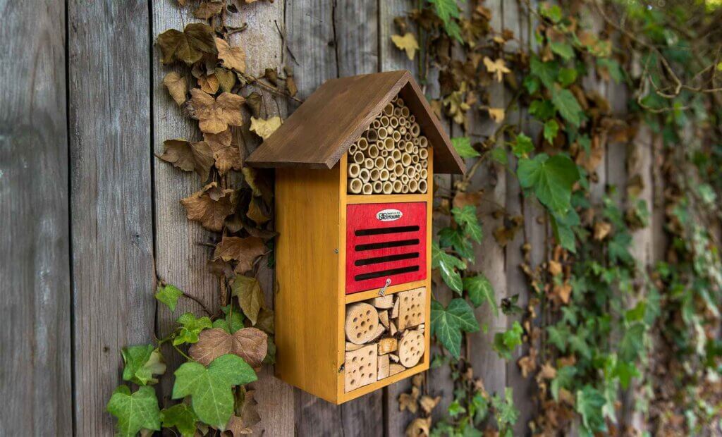 Iris Beneficial Bug House #1