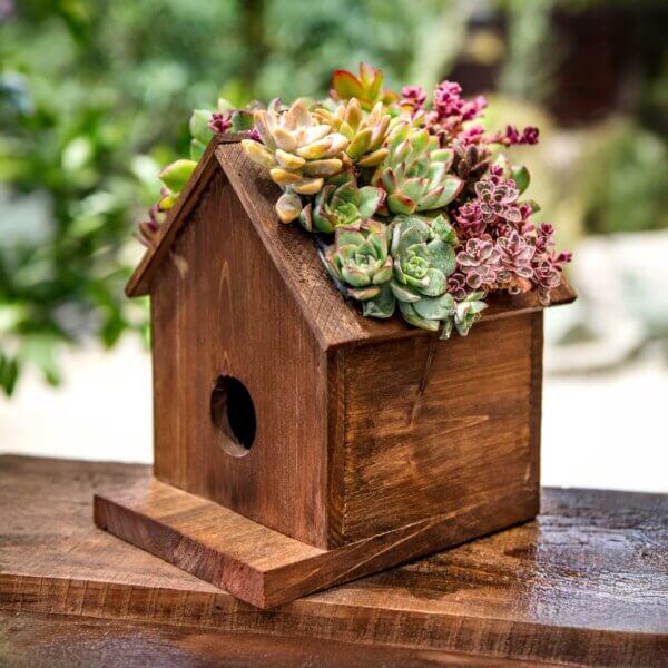 Jade Plantable Birdhouse