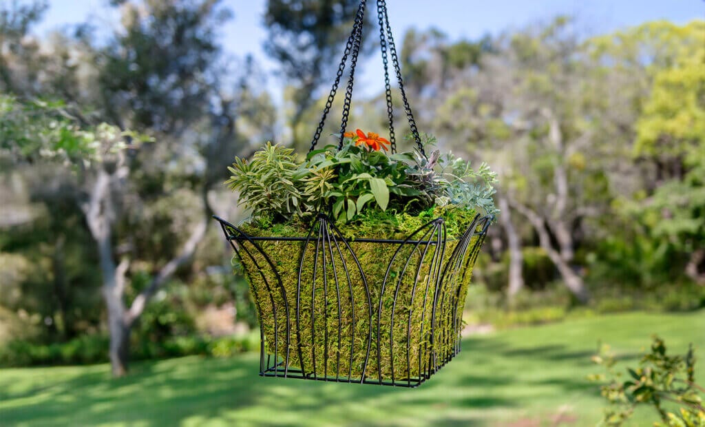 Leeds Square Wire Hanging Basket #1