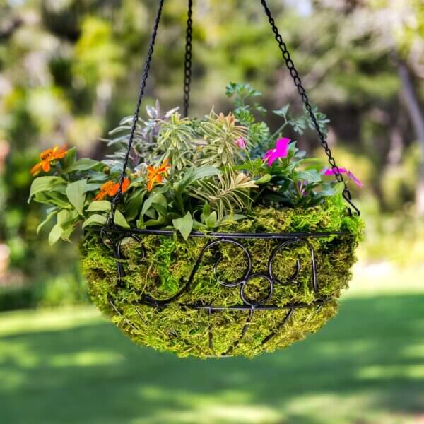 London Round Wire Hanging Basket
