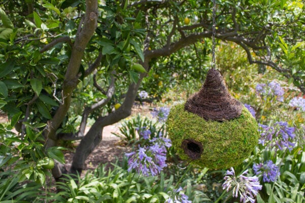 Raindrop Woven Birdhouse with Wicker