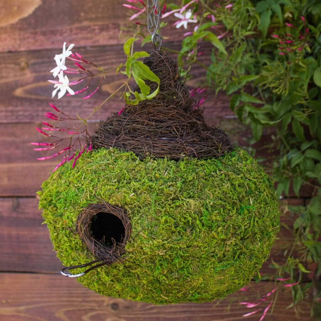 Raindrop Woven Birdhouse with Wicker #3