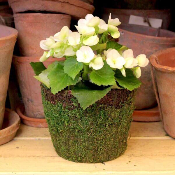 Vineyard Deco Basket Set