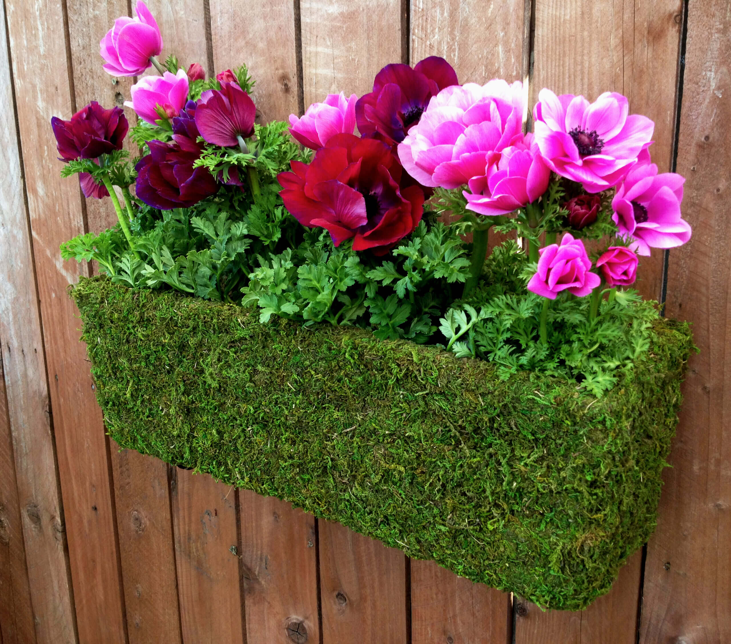 MossWeave Window Box Planter - 24 in.