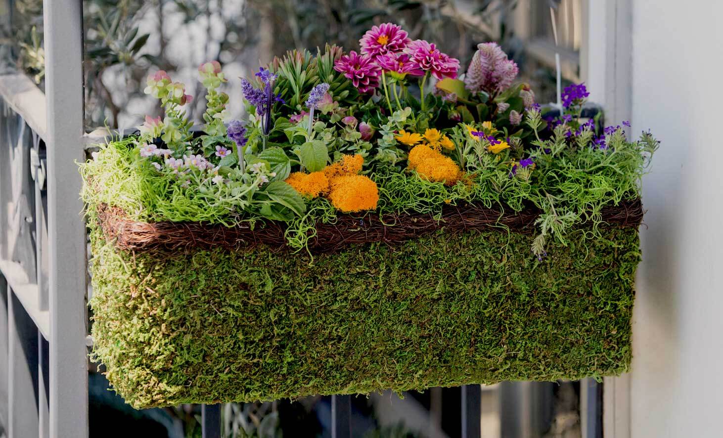 SuperMoss - MossWeave Window Box Planter, image size:1462x886