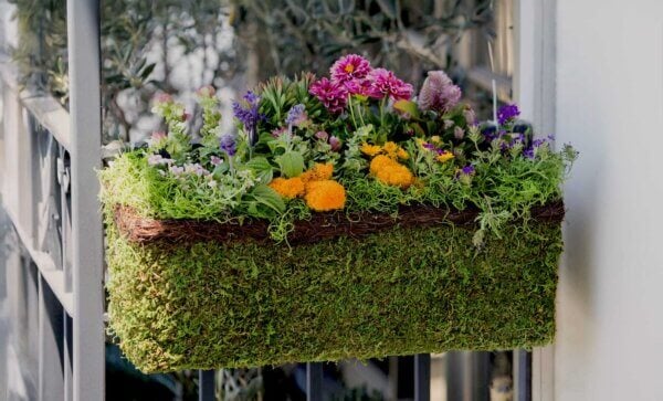 MossWeave Window Box Planter, Wicker Rim