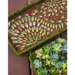 How to Make Succulent Mandalas Propagation Tray Art