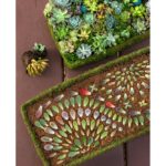 How to Make Succulent Mandalas Propagation Tray Art